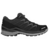 Lowa - Innox Pro GTX LO - Chaussures Multisports